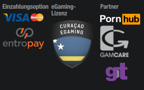 Pornhub Casino Erfahrungen – Test & Bewertung 2025