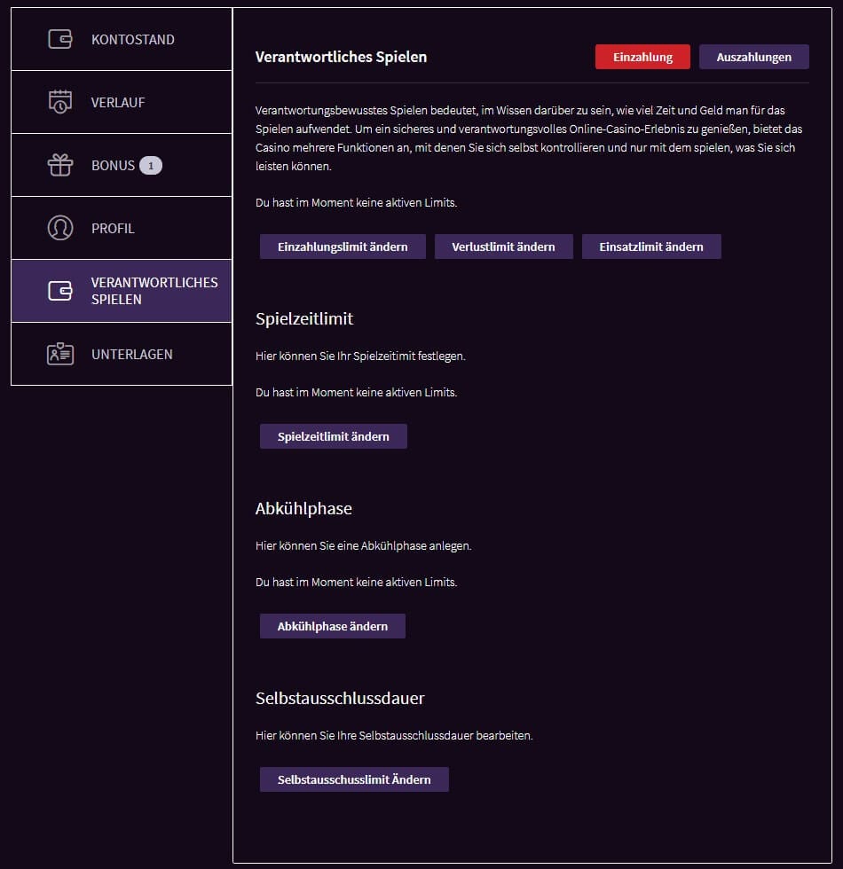 Wildblaster Casino Erfahrungen & Testbericht 2026