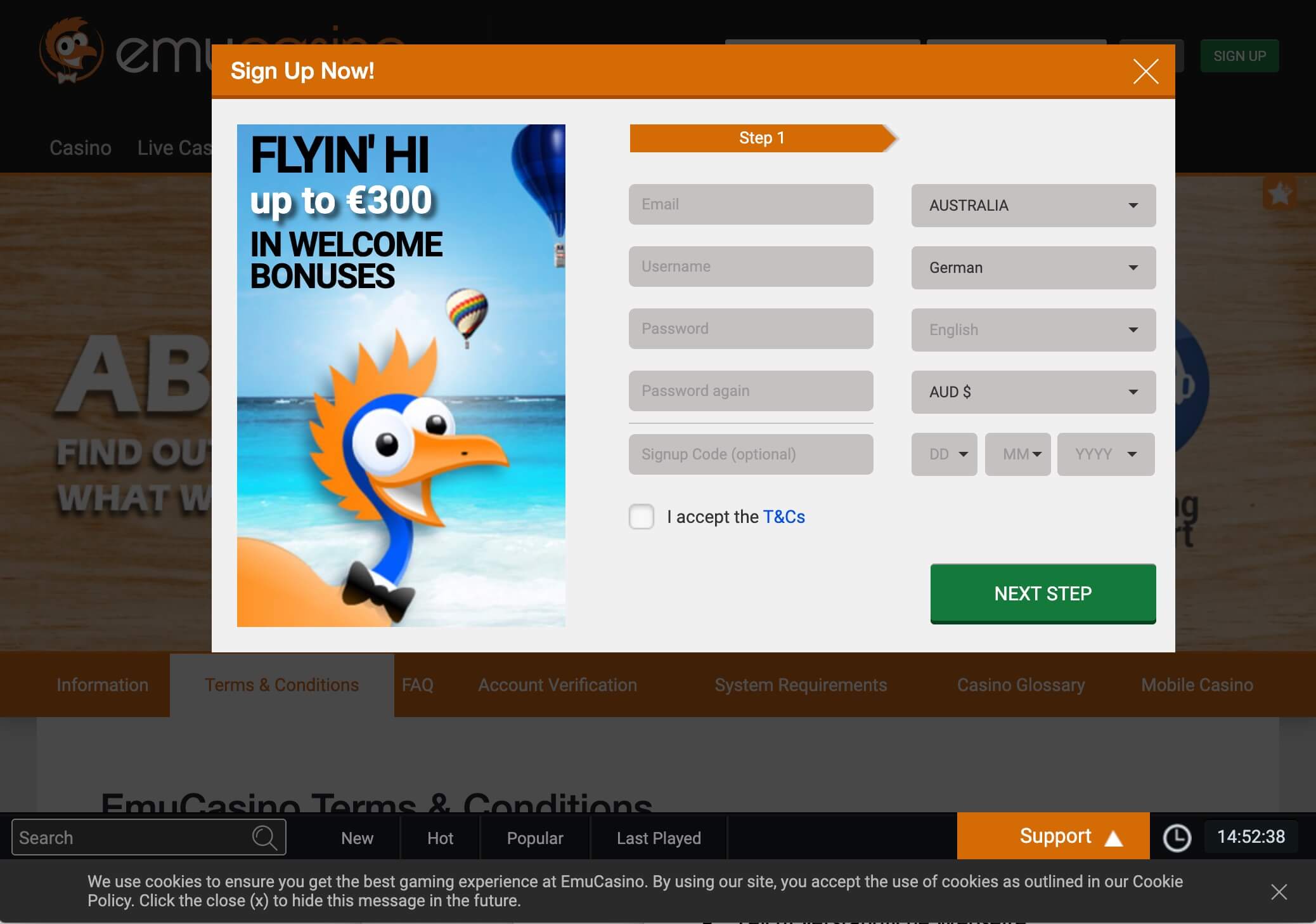 Slider Image