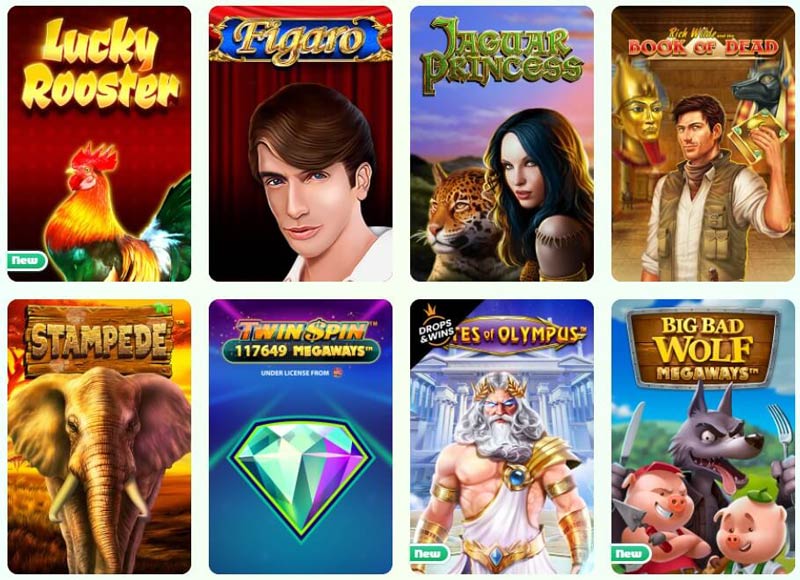 Neon54 – Erfahrungen & Testbericht 2025