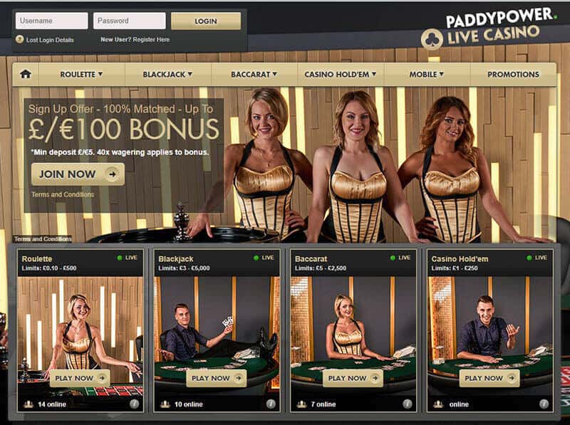 Paddypower Bingo Erfahrungen – Test und Bewertung 2025