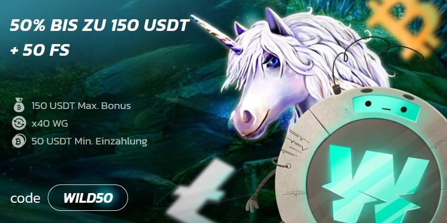 WildCoins Casino – Erfahrungen & Testbericht 2025