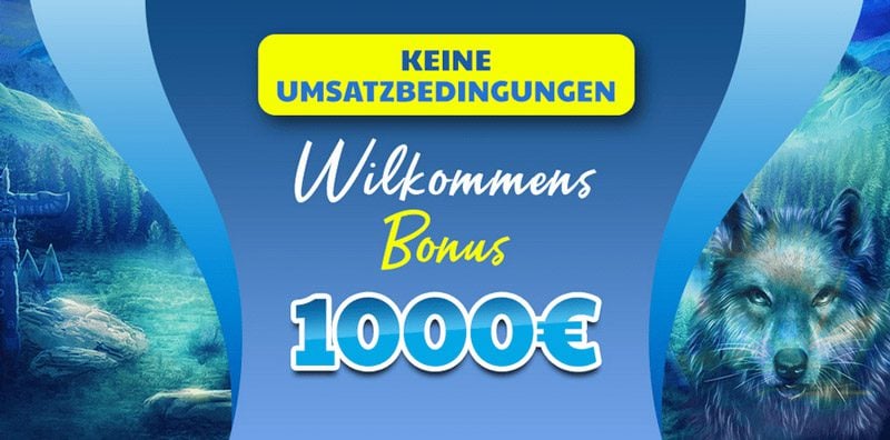 Wolfy Casino – Erfahrungen & Testbericht 2025