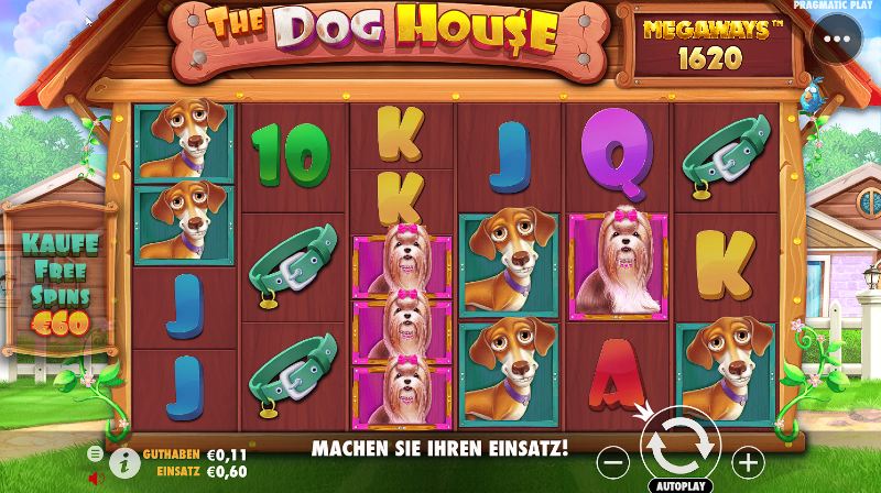 Yolo Casino – Erfahrungen & Testbericht 2026
